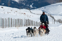 Park City Dog Sledding - Luna Lobos