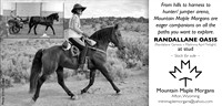 The Morgan Horse Magazine